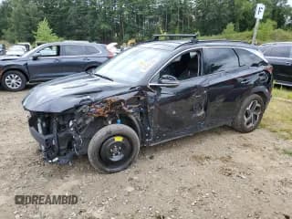 ✅ 2024 Hyundai Tucson Limited • VIN: 5NMJE3DE7RH309247 • Лот: 69945535. Опубликован ранее на Copart с пробегом 60 580 миль. Бесплатный доступ к архиву аукционных продаж из США и подробный отчёт об истории автомобиля на DreamBid. Изображение 1.