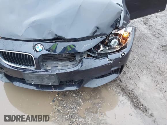 ✅ 2015 BMW 4 Series 428i xDrive • VIN: WBA4C9C56FD330535 • Lot: 43742856. Wystawiony na IAAI z przebiegiem 157 456 mil. Bezpłatny archiwum sprzedaży aukcyjnych z USA i szczegółowy raport historii pojazdu na DreamBid. Zdjęcie 18.