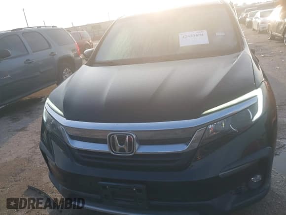 ✅ 2019 Honda Pilot EX-L • VIN: 5FNYF5H58KB043892 • Lot: 42431694. Listed on IAAI with 61,404 mi. Free auction sales archive from the USA and detailed vehicle history report at DreamBid. Image 10.