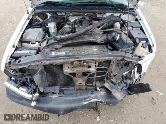 ✅ 1998 Chevrolet S-10 • VIN: 1GCCS1444WK202508 • Lot: 86473275. Wystawiony na Copart z przebiegiem 289 317 mil. Bezpłatny archiwum sprzedaży aukcyjnych z USA i szczegółowy raport historii pojazdu na DreamBid. Zdjęcie 11.