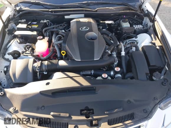 ✅ 2017 Lexus IS 200t • VIN: JTHBA1D26H5044315 • Lot: 41543586. Listed on IAAI with 63,194 mi. Free auction sales archive from the USA and detailed vehicle history report at DreamBid. Image 10.