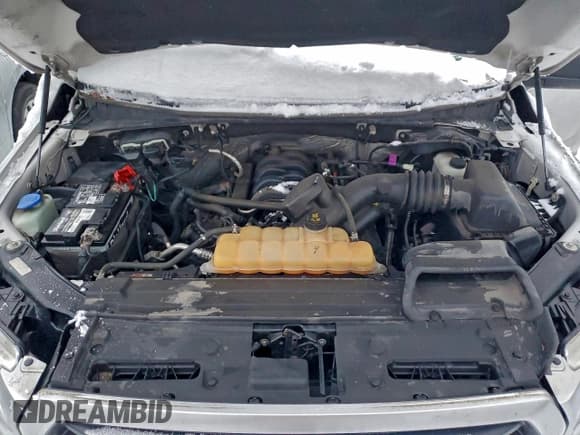 ✅ 2016 Ford F-150 XLT • VIN: 1FTFX1EF1GFB06909 • Lot: 95685405. Wystawiony na Copart z przebiegiem 185 457 mil. Bezpłatny archiwum sprzedaży aukcyjnych z USA i szczegółowy raport historii pojazdu na DreamBid. Zdjęcie 11.