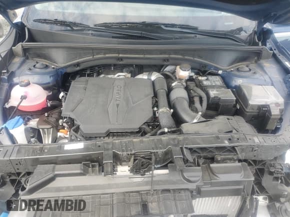 ✅ 2024 Kia Sorento EX • VIN: 5XYRH4JF5RG308220 • Lot: 86490285. Listed on Copart with 8,113 mi. Free auction sales archive from the USA and detailed vehicle history report at DreamBid. Image 12.