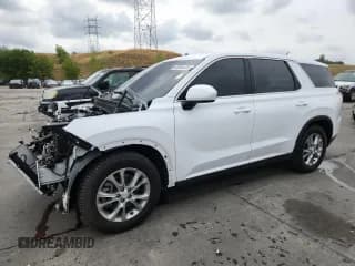 ✅ 2021 Hyundai Palisade SE • VIN: KM8R1DHEXMU245734 • Лот: 69984485. Опубликован ранее на Copart с пробегом 58 232 миль. Бесплатный доступ к архиву аукционных продаж из США и подробный отчёт об истории автомобиля на DreamBid. Изображение 1.