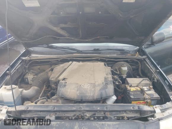 ✅ 2008 Toyota Tacoma • VIN: 5TEMU52N88Z566950 • Lot: 43545918. Wystawiony na IAAI z przebiegiem 201 941 mil. Bezpłatny archiwum sprzedaży aukcyjnych z USA i szczegółowy raport historii pojazdu na DreamBid. Zdjęcie 10.