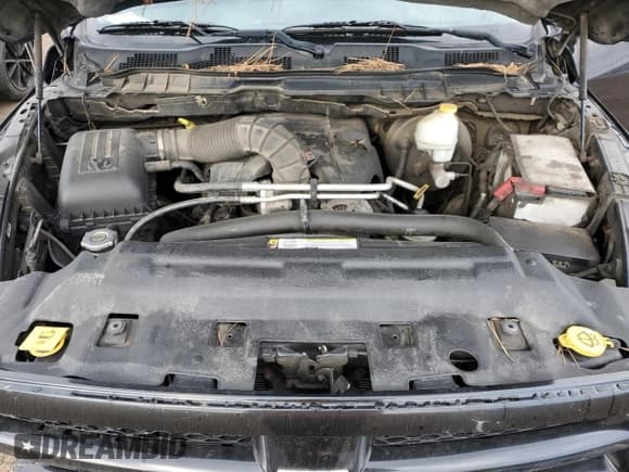 ✅ 2010 Dodge 1500 SLT • VIN: 1D7RV1CT8AS167917 • Lot: 52312985. Wystawiony na Copart z przebiegiem 402 856 mil. Bezpłatny archiwum sprzedaży aukcyjnych z USA i szczegółowy raport historii pojazdu na DreamBid. Zdjęcie 11.