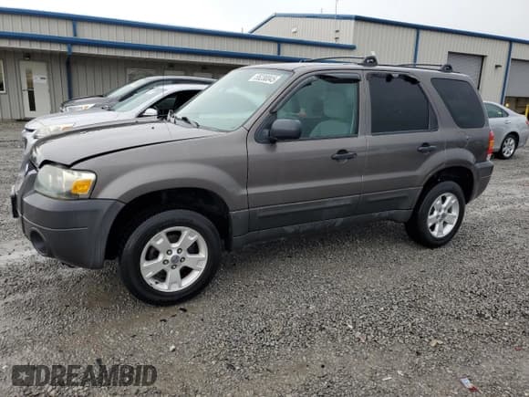 ✅ 2006 Ford Escape XLT • VIN: 1FMCU03136KC97215 • Lot: 55230045. Listed on Copart with 164,189 mi. Free auction sales archive from the USA and detailed vehicle history report at DreamBid. Image 1.