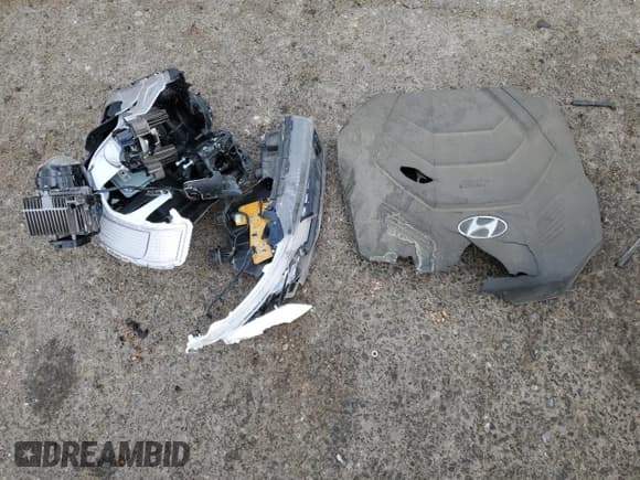 ✅ 2020 Hyundai Palisade Limited • VIN: KM8R5DHE5LU117176 • Лот: 75949604. Опубликован ранее на Copart с пробегом 43 734 миль. Бесплатный доступ к архиву аукционных продаж из США и подробный отчёт об истории автомобиля на DreamBid. Изображение 15.