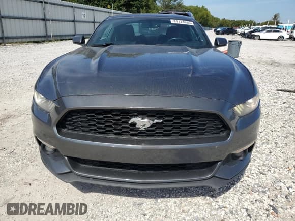 ✅ 2017 Ford Mustang EcoBoost • VIN: 1FA6P8TH8H5265226 • Lot: 81124685. Listed on Copart with 119,822 mi. Free auction sales archive from the USA and detailed vehicle history report at DreamBid. Image 5.