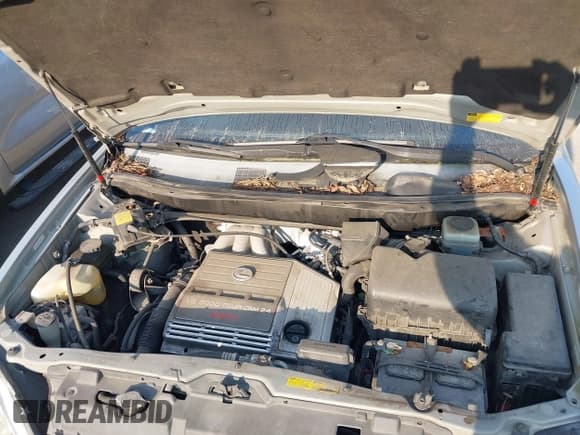 ✅ 2002 Lexus RX 300 • VIN: JTJHF10U020237551 • Lot: 43140739. Listed on IAAI with 159,030 mi. Free auction sales archive from the USA and detailed vehicle history report at DreamBid. Image 10.