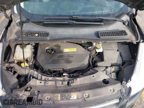 ✅ 2014 Ford Escape SE • VIN: 1FMCU9GX2EUA86352 • Lot: 43644711. Wystawiony na IAAI z przebiegiem 137 143 mil. Bezpłatny archiwum sprzedaży aukcyjnych z USA i szczegółowy raport historii pojazdu na DreamBid. Zdjęcie 10.