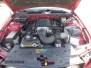 ✅ 2005 Ford Mustang GT Deluxe • VIN: 1ZVHT82H555212329 • Lot: 43323586. Wystawiony na IAAI z przebiegiem 98 199 mil. Bezpłatny archiwum sprzedaży aukcyjnych z USA i szczegółowy raport historii pojazdu na DreamBid. Zdjęcie 10.