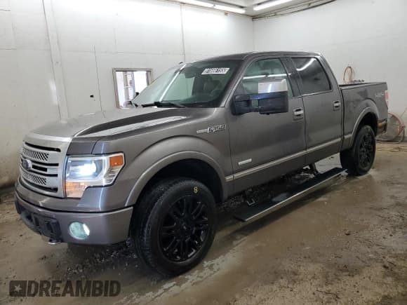 ✅ 2014 Ford F-150 Platinum • VIN: 1FTFW1ET5EFA49121 • Lot: 91666155. Listed on Copart with 161,606 mi. Free auction sales archive from the USA and detailed vehicle history report at DreamBid. Image 1.