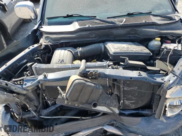 ✅ 2002 Dodge 1500 • VIN: 3D7HA18N32G203846 • Лот: 71291844. Опубликован ранее на Copart с пробегом 231 592 миль. Бесплатный доступ к архиву аукционных продаж из США и подробный отчёт об истории автомобиля на DreamBid. Изображение 11.