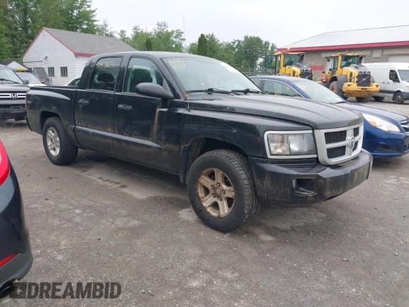 ✅ 2010 Dodge Dakota Bighorn/Lonestar • VIN: 1D7CW3GK8AS202813 • Lot: 42467823. Wystawiony na IAAI z przebiegiem 166 294 mil. Bezpłatny archiwum sprzedaży aukcyjnych z USA i szczegółowy raport historii pojazdu na DreamBid. Zdjęcie 1.