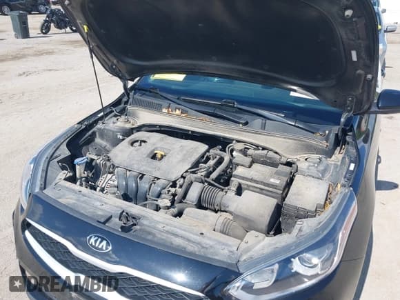 ✅ 2021 Kia Forte LXS • VIN: 3KPF24AD6ME287337 • Lot: 42376196. Listed on IAAI with 31,406 mi. Free auction sales archive from the USA and detailed vehicle history report at DreamBid. Image 10.