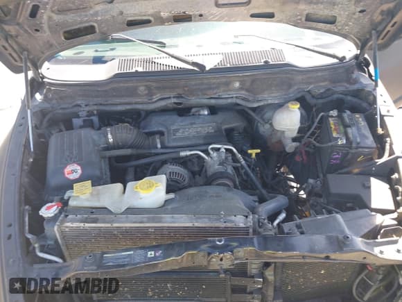 ✅ 2005 Dodge 1500 SLT • VIN: 1D7HU18D95S286954 • Лот: 42962545. Опубликован ранее на IAAI с пробегом 197 490 миль. Бесплатный доступ к архиву аукционных продаж из США и подробный отчёт об истории автомобиля на DreamBid. Изображение 10.