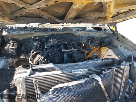 ✅ 2004 Chevrolet Silverado 2500HD LS • VIN: 1GCHC23174F125493 • Лот: 42701000. Опубликован ранее на IAAI с пробегом Не указан. Бесплатный доступ к архиву аукционных продаж из США и подробный отчёт об истории автомобиля на DreamBid. Изображение 10.