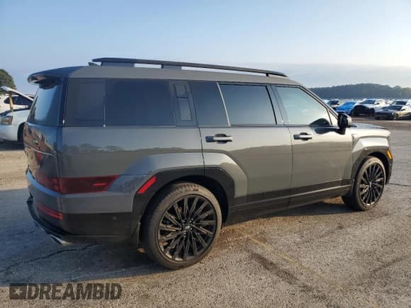 ✅ 2024 Hyundai Santa Fe Calligraphy • VIN: 5NMP5DGL0RH063667 • Lot: 82690345. Listed on Copart with 23,121 mi. Free auction sales archive from the USA and detailed vehicle history report at DreamBid. Image 3.