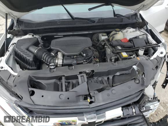 2019 Chevrolet Blazer with VIN 3GNKBGRS2KS697917, listed as a Copart auction lot 66687444 with 53,515 mi miles and Non repairable. Bid and sale history available at DreamBid. Image 12.