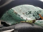 ✅ 2017 Ford F-250 Lariat • VIN: 1FT7W2BT8HED63578 • Lot: 83994575. Listed on Copart with Not provided. Free auction sales archive from the USA and detailed vehicle history report at DreamBid. Image 9.