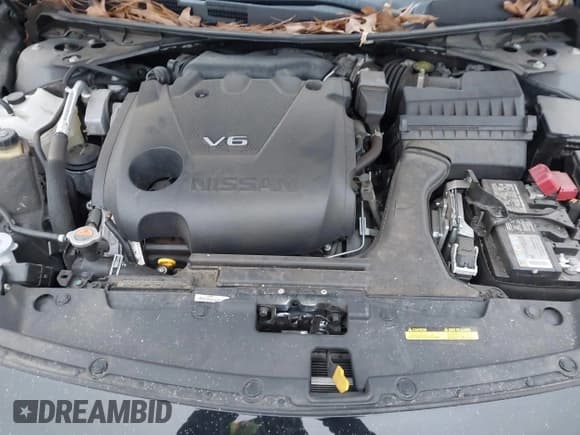 ✅ 2019 Nissan Maxima Platinum • VIN: 1N4AA6AV0KC379524 • Лот: 40862758. Опубликован ранее на IAAI с пробегом 74 145 миль. Бесплатный доступ к архиву аукционных продаж из США и подробный отчёт об истории автомобиля на DreamBid. Изображение 10.