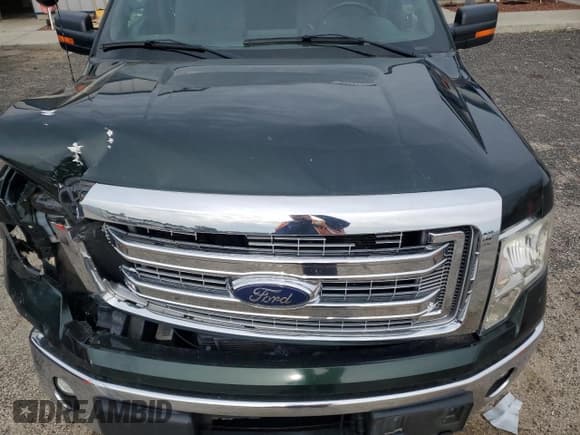 ✅ 2013 Ford F-150 XL • VIN: 1FTFW1ET5DKD78312 • Lot: 58309985. Listed on Copart with 196,602 mi. Free auction sales archive from the USA and detailed vehicle history report at DreamBid. Image 11.
