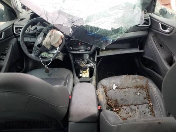 ✅ 2017 Hyundai Ioniq Limited • VIN: KMHC85LC7HU030749 • Лот: 76547144. Размещён на Copart с пробегом 99 349 миль миль. Получите бесплатный доступ к архиву аукционных продаж из США и посмотрите подробный отчёт об истории автомобиля на DreamBid. Изображение 8.