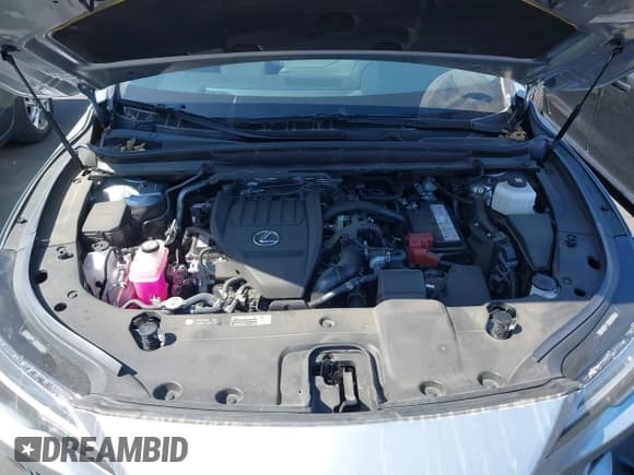 ✅ 2024 Lexus RX 350 • VIN: JTJCHMAA4R2017497 • Лот: 42151491. Опубликован ранее на IAAI с пробегом 17 707 миль. Бесплатный доступ к архиву аукционных продаж из США и подробный отчёт об истории автомобиля на DreamBid. Изображение 10.