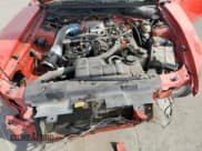 ✅ 1999 Ford Mustang GT • VIN: 1FAFP42X8XF151298 • Lot: 76350444. Listed on Copart with Not provided. Free auction sales archive from the USA and detailed vehicle history report at DreamBid. Image 11.