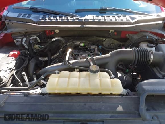 ✅ 2019 Ford F-150 XL • VIN: 1FTEX1EPXKKF24471 • Lot: 43629189. Listed on IAAI with 52,144 mi. Free auction sales archive from the USA and detailed vehicle history report at DreamBid. Image 10.