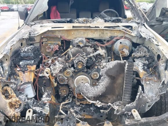 ✅ 2004 Ford F-150 XL • VIN: 1FTRF14W84NB66690 • Lot: 42714138. Listed on IAAI with Not provided. Free auction sales archive from the USA and detailed vehicle history report at DreamBid. Image 10.