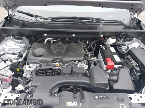 ✅ 2024 Toyota RAV4 XLE • VIN: 2T3P1RFVXRC459579 • Lot: 43563348. Wystawiony na IAAI z przebiegiem 12 129 mil. Bezpłatny archiwum sprzedaży aukcyjnych z USA i szczegółowy raport historii pojazdu na DreamBid. Zdjęcie 10.