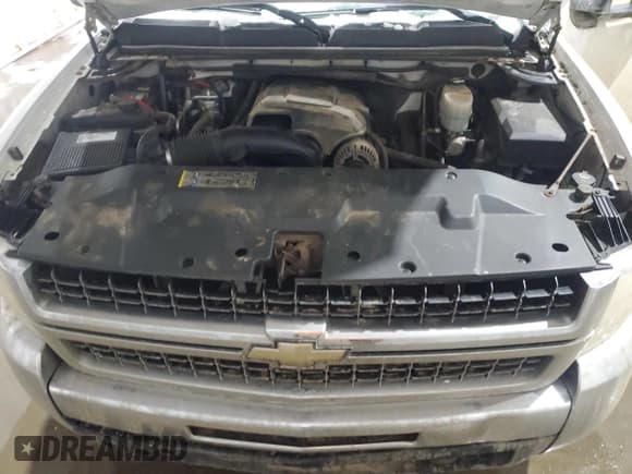 ✅ 2009 Chevrolet Silverado 2500HD Work Truck • VIN: 1GCHK43K99F138423 • Lot: 43836385. Wystawiony na Copart z przebiegiem 218 679 mil. Bezpłatny archiwum sprzedaży aukcyjnych z USA i szczegółowy raport historii pojazdu na DreamBid. Zdjęcie 13.