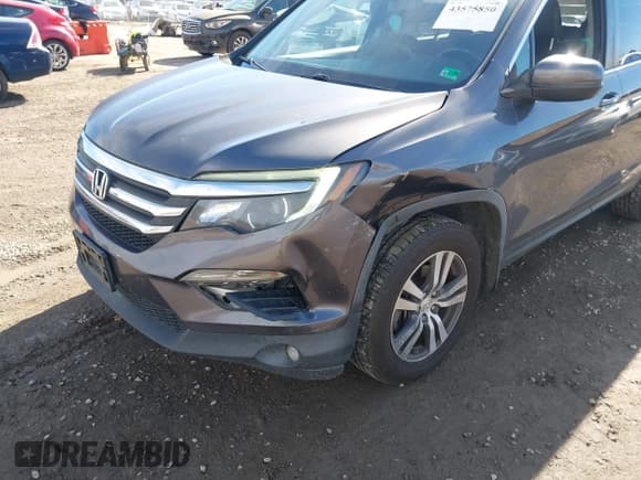 ✅ 2018 Honda Pilot EX-L • VIN: 5FNYF6H57JB028742 • Lot: 43575850. Listed on IAAI with 170,260 mi. Free auction sales archive from the USA and detailed vehicle history report at DreamBid. Image 6.