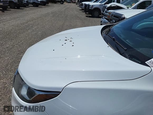 ✅ 2019 Chevrolet Equinox LS • VIN: 3GNAXHEVXKL198716 • Lot: 42622950. Wystawiony na IAAI z przebiegiem 171 272 mil. Bezpłatny archiwum sprzedaży aukcyjnych z USA i szczegółowy raport historii pojazdu na DreamBid. Zdjęcie 1.