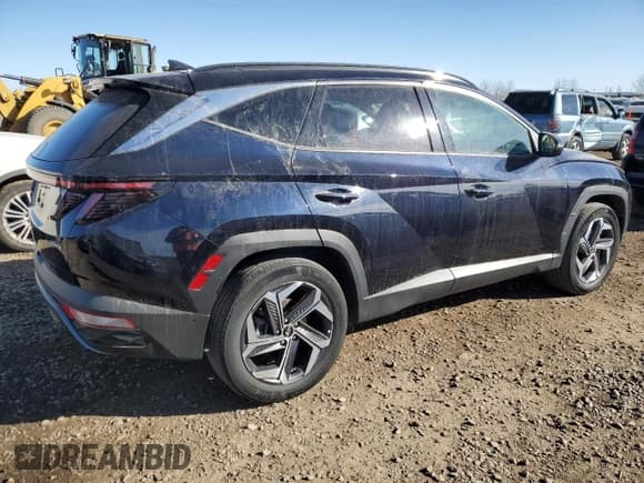 ✅ 2023 Hyundai Tucson Luxury • VIN: KM8JCCA1XPU091054 • Lot: 77193974. Wystawiony na Copart z przebiegiem 59 841 mil. Bezpłatny archiwum sprzedaży aukcyjnych z USA i szczegółowy raport historii pojazdu na DreamBid. Zdjęcie 3.