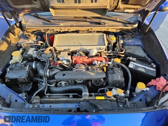 ✅ 2019 Subaru WRX STI • VIN: JF1VA2R60K9813476 • Lot: 82492555. Listed on Copart with 61,430 mi. Free auction sales archive from the USA and detailed vehicle history report at DreamBid. Image 11.