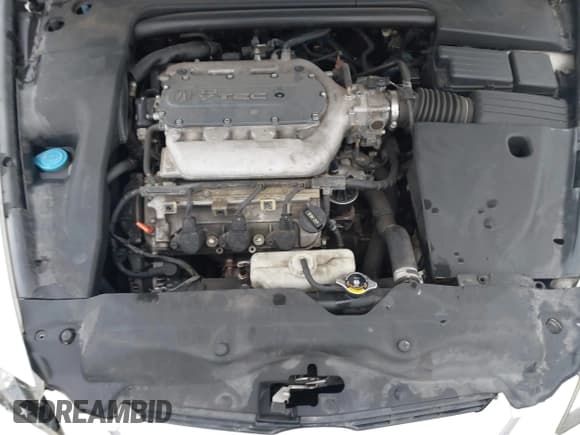 ✅ 2005 Acura TL • VIN: 19UUA66255A033234 • Lot: 43751417. Listed on IAAI with Not provided. Free auction sales archive from the USA and detailed vehicle history report at DreamBid. Image 10.