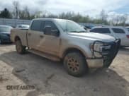 ✅ 2021 Ford F-250 XL • VIN: 1FT7W2BNXMEE07558 • Lot: 50572225. Listed on Copart with 95,355 mi. Free auction sales archive from the USA and detailed vehicle history report at DreamBid. Image 4.