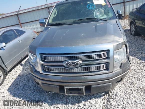 ✅ 2009 Ford F-150 XL • VIN: 1FTPW14V99FA40418 • Lot: 43280047. Listed on IAAI with 152,377 mi. Free auction sales archive from the USA and detailed vehicle history report at DreamBid. Image 12.