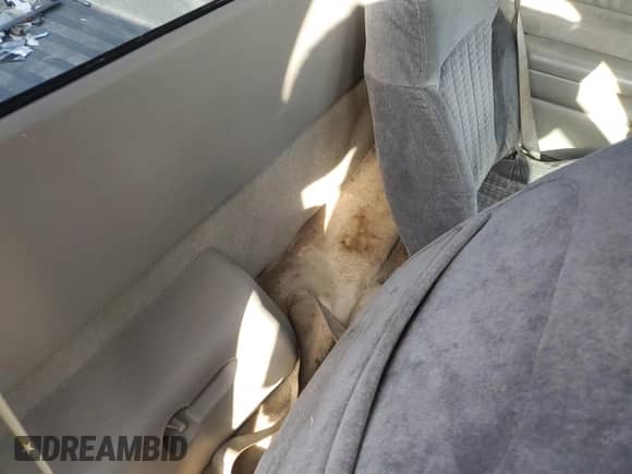 1998 Chevrolet S-10 LS с VIN 1GCCS1449W8235985, выставлен на аукционе Copart как лот 75587934 с пробегом 187 237 миль миль и Списание • Salvage title. История ставок и продаж доступна на DreamBid. Изображение 10.