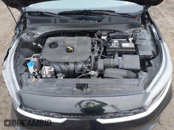 ✅ 2024 Kia Forte LXS • VIN: 3KPF24AD5RE776898 • Lot: 43744320. Wystawiony na IAAI z przebiegiem 21 473 mil. Bezpłatny archiwum sprzedaży aukcyjnych z USA i szczegółowy raport historii pojazdu na DreamBid. Zdjęcie 10.