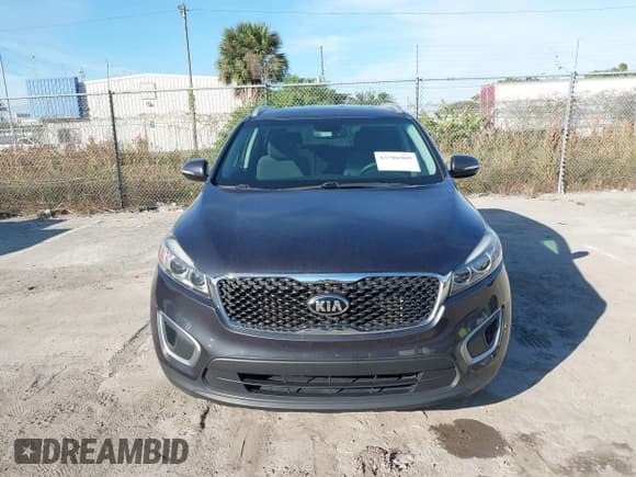 ✅ 2016 Kia Sorento LX • VIN: 5XYPG4A38GG116769 • Lot: 43786969. Listed on IAAI with 162,292 mi. Free auction sales archive from the USA and detailed vehicle history report at DreamBid. Image 6.