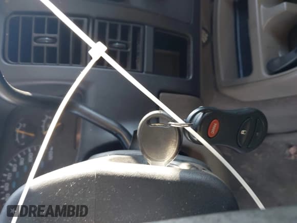 ✅ 2001 Dodge Dakota Sport • VIN: 1B7GL2ANX1S217475 • Lot: 41917542. Wystawiony na IAAI z przebiegiem 213 425 mil. Bezpłatny archiwum sprzedaży aukcyjnych z USA i szczegółowy raport historii pojazdu na DreamBid. Zdjęcie 11.