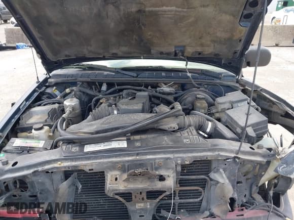 ✅ 1999 Chevrolet S-10 • VIN: 1GCCS1445X8191064 • Лот: 42351000. Опубликован ранее на IAAI с пробегом Не указан. Бесплатный доступ к архиву аукционных продаж из США и подробный отчёт об истории автомобиля на DreamBid. Изображение 10.