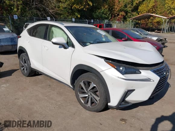 ✅ 2018 Lexus NX 300 • VIN: JTJBARBZ9J2165845 • Lot: 43537252. Wystawiony na IAAI z przebiegiem 104 185 mil. Bezpłatny archiwum sprzedaży aukcyjnych z USA i szczegółowy raport historii pojazdu na DreamBid. Zdjęcie 1.