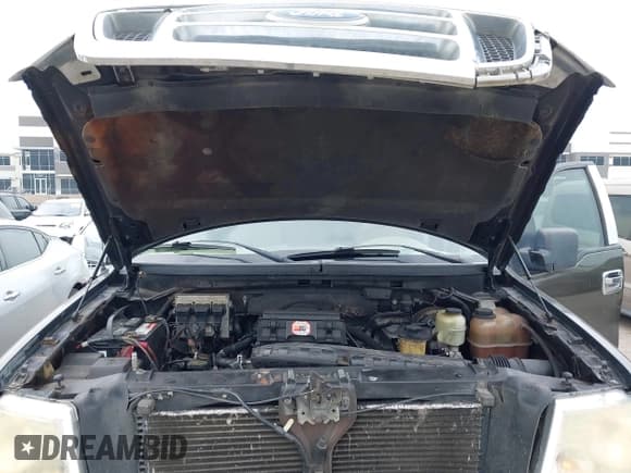 ✅ 2008 Ford F-150 XLT • VIN: 1FTPW12548FB21697 • Lot: 43155389. Listed on IAAI with 142,550 mi. Free auction sales archive from the USA and detailed vehicle history report at DreamBid. Image 10.