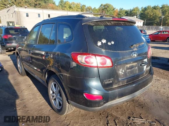 2010 Hyundai Santa Fe SE with VIN 5NMSHDAG3AH346663, listed as a IAAI auction lot 43449288 with 248,608 mi miles and . Bid and sale history available at DreamBid. Image 3.