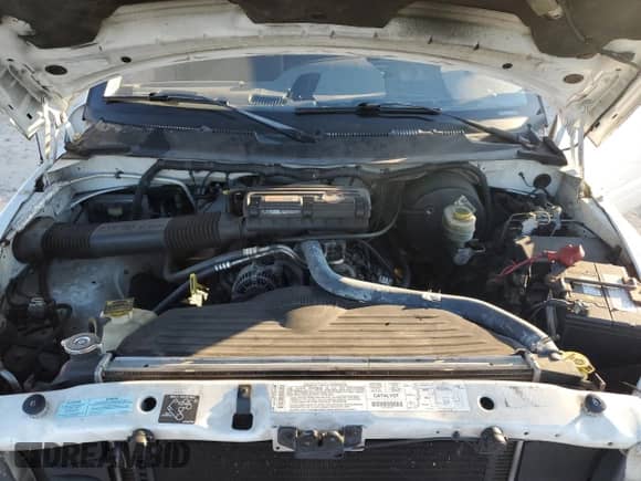 2001 Dodge 1500 с VIN 1B7HC16Y71S161058, выставлен на аукционе Copart как лот 82820584 с пробегом 260 446 миль миль и Списание • Salvage title. История ставок и продаж доступна на DreamBid. Изображение 11.